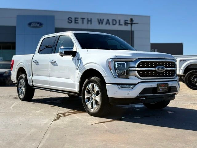 2021 Ford F-150 Platinum's photo