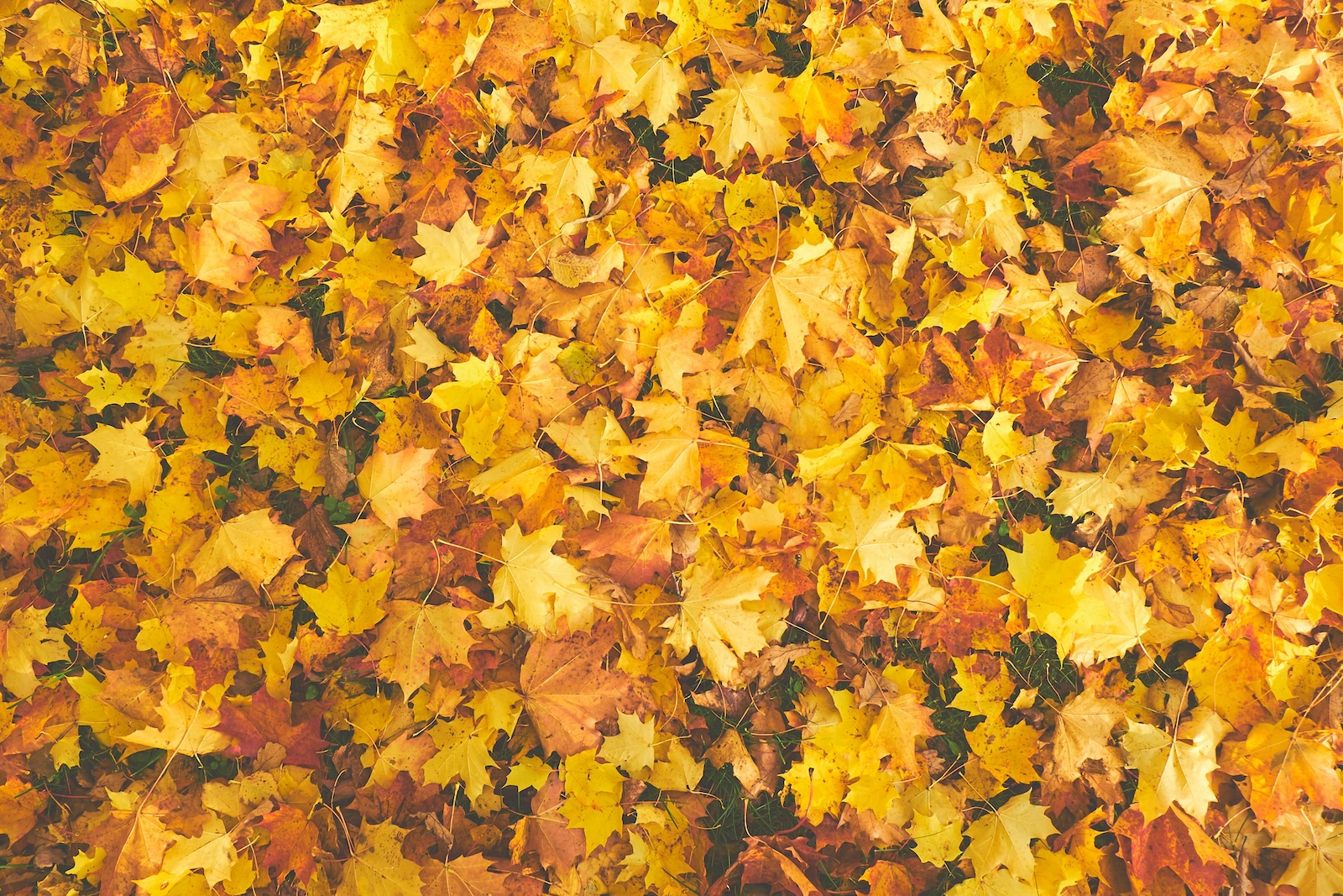 Blog Cover Image