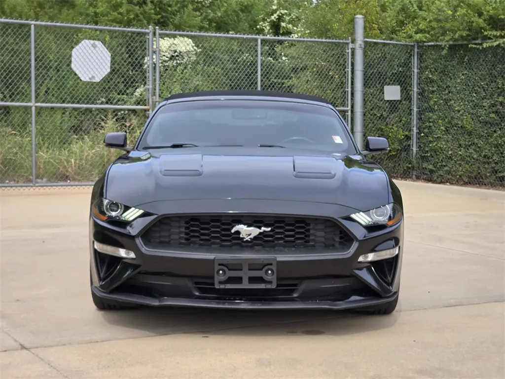 2019 Ford Mustang EcoBoost Premium photo 2