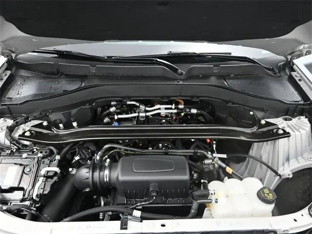image-19
