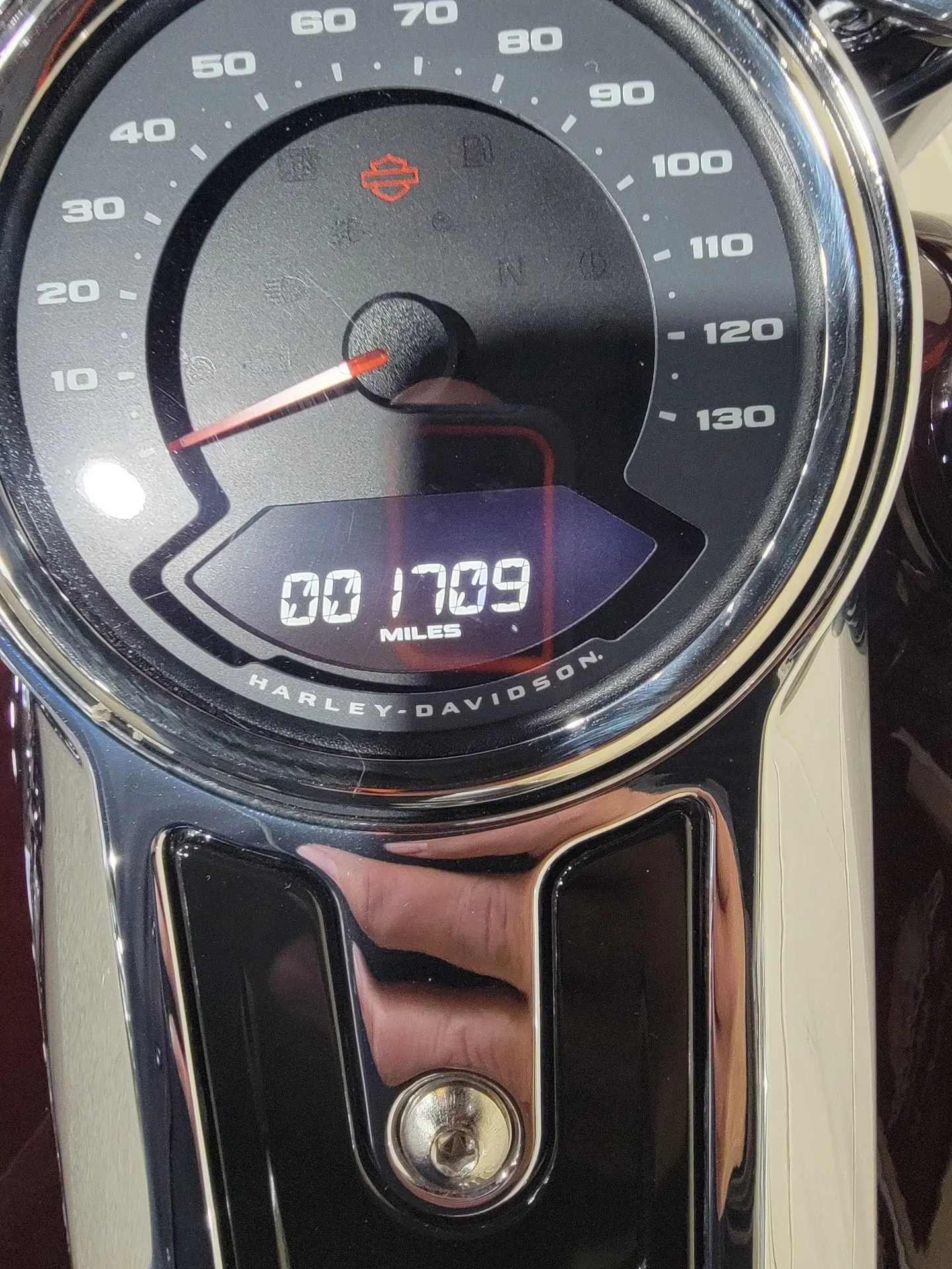 image-7