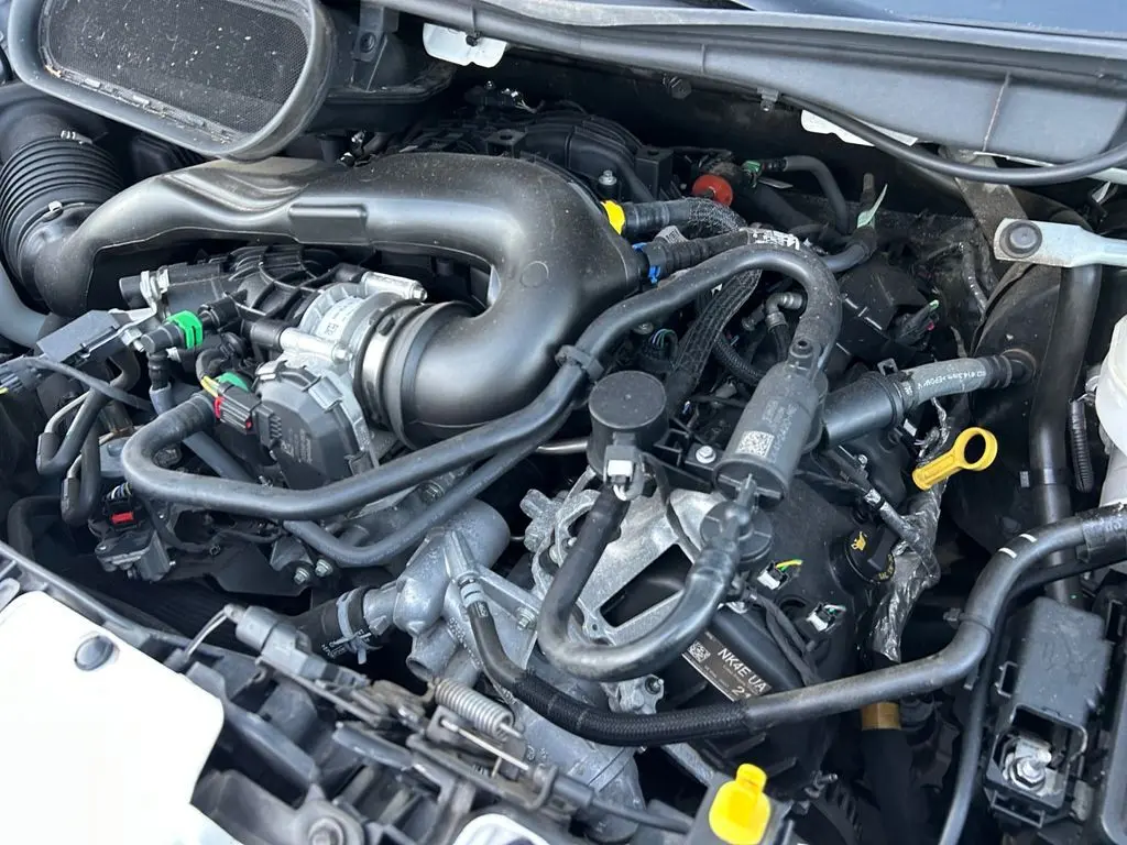 image-19