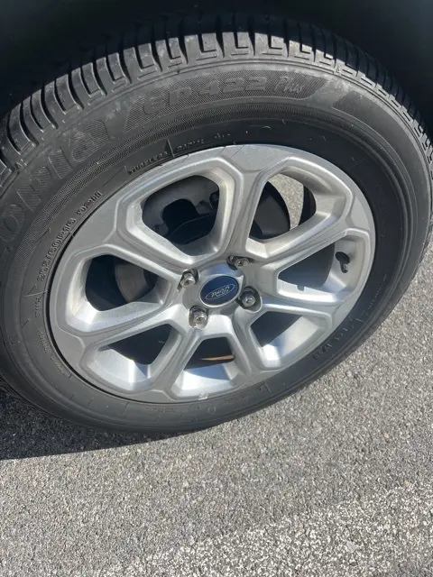 image-6