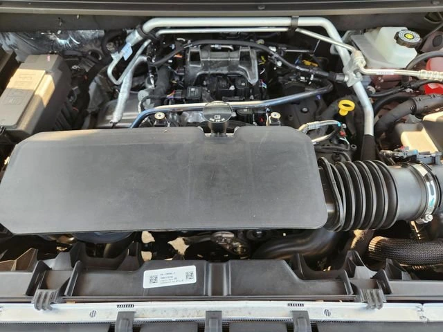 image-19