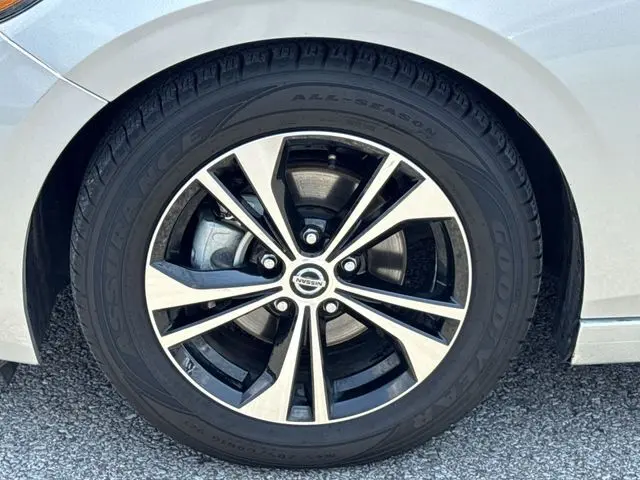image-19